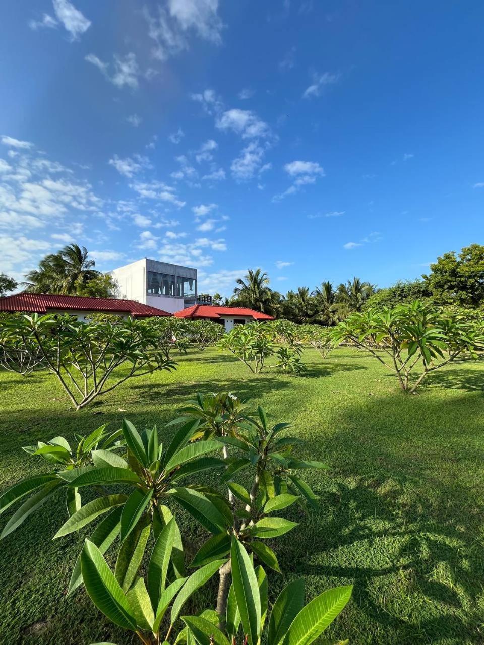 Nn Beach Resort & Spa นิลาเวลี ภายนอก รูปภาพ